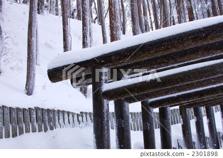 Rude Shrine Shrine 2301898