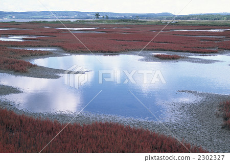 能取湖 湖泊 湖 2302327