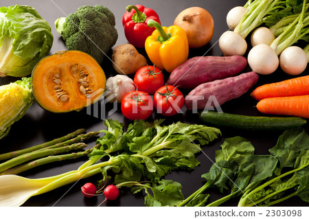 蔬菜集合 2303098