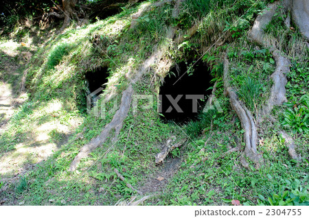 Kanan Kashiwaya Horizontal Hole Tomb 2304755