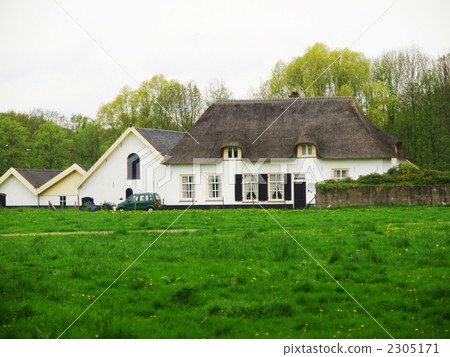 The thatched private house rural scenery white wall Netherlands The thatched private house rural scenery white wall Netherlands 2305171