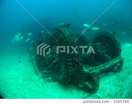 Reef Diving Track Underwater Mexico La Paz 2305768