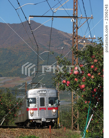 Train running on an apple field 2306248