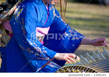 Superb female playing the koto 2306281