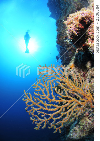 潛水員 2306384