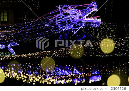 龍 照明 彩燈 2306526