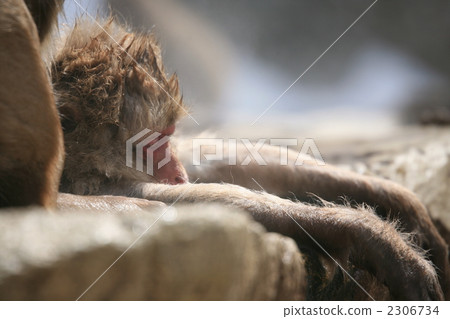 comfortable, feel good, cozy 2306734