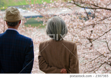 一對年長夫婦的櫻花盛開 2307365