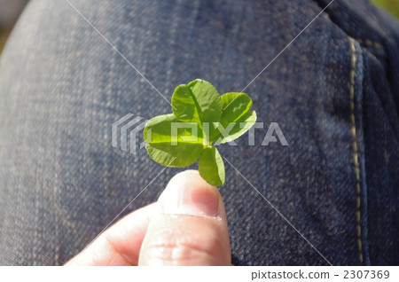 四片葉子的三葉草 2307369