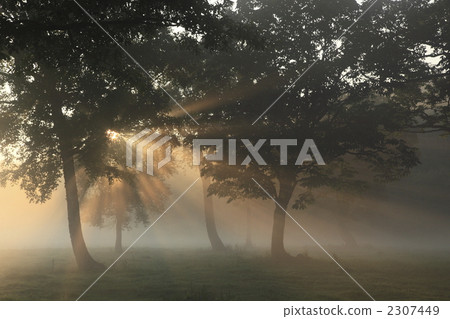 Kayanori Plateau 2307449