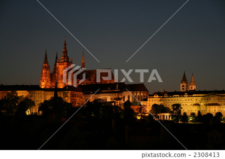  布拉格城堡 2308413