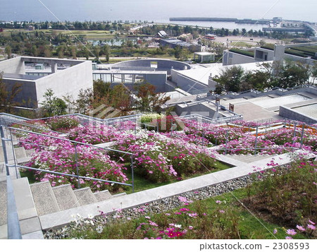 一百步的宇宙 2308593