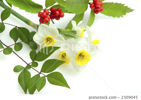 新年形象 新年形象 2309045