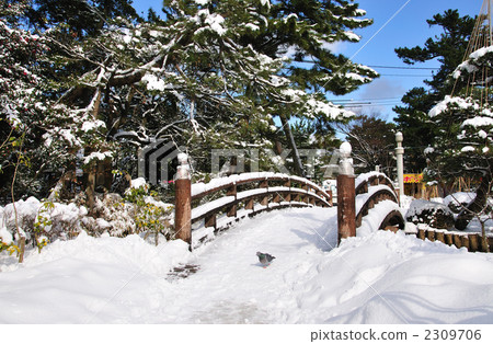Hakusan park snow scene 2309706