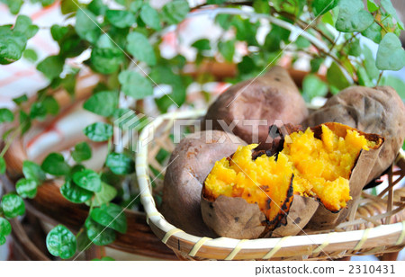 烤紅薯（Anno土豆） 2310431