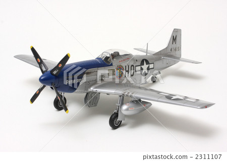 P51 Mustang 2311107