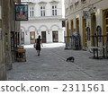 Women and dogs, streets of Vienna 2311561