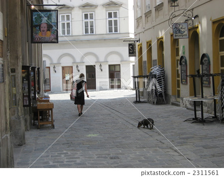 Women and dogs, streets of Vienna 2311561