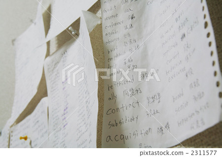 Paper on the wall Paper on the wall 2311577