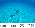 Snorkeling in the Bahamas 2311749