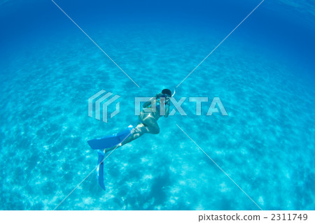 Snorkeling in the Bahamas 2311749