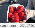 Strawberry  2311750