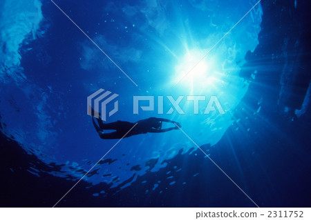 黑潮綠色平靜的太陽 2311752