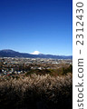 February morning 2312430