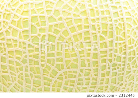melon melon 2312445
