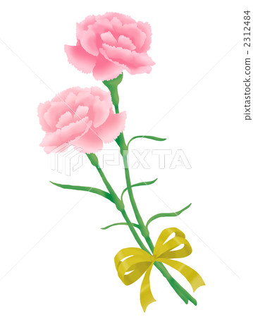 康乃馨禮品 2312484