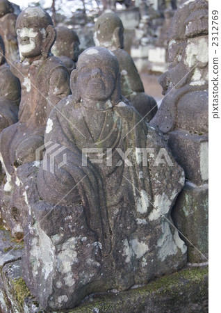 羅漢仰望天空川越五百 2312769