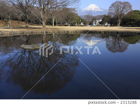 Upside-down Fuji 2313286