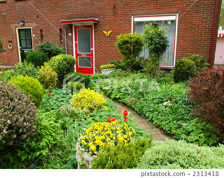 園藝方法門Haar Zirens 2313418