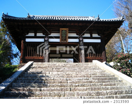 泰山吉尼蒙 2313593