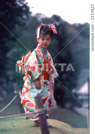 Shichigosan 3 2313627