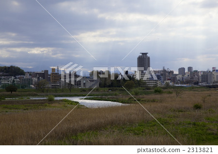 玉川 風景 枯竭的河床 2313821