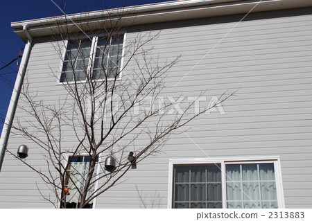 home, house, housing 2313883