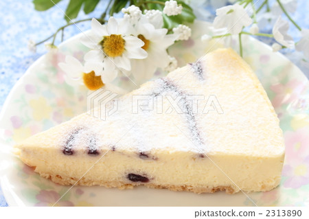 Rare cheese cake 2313890