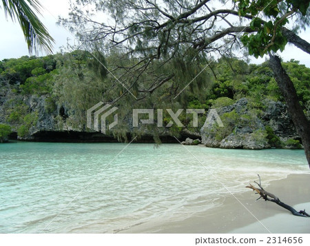Cove of Kanumera Bay 2314656