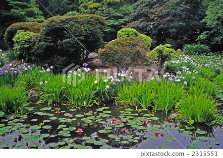 Kyoto Recommended School Summer Garden Kyoto Recommended School Summer Garden 2315551