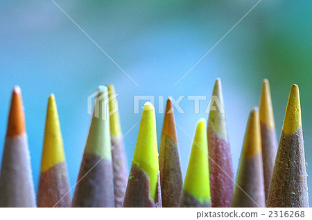 繪畫材料 彩色鉛筆 2316268