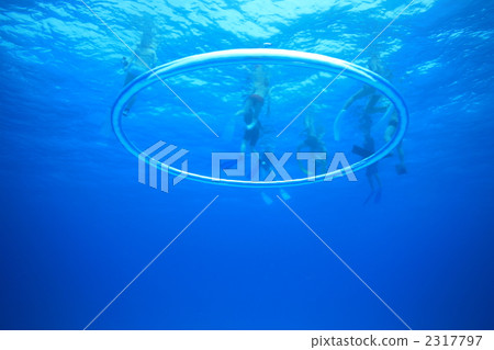 transparency, friendly, colleagues 2317797