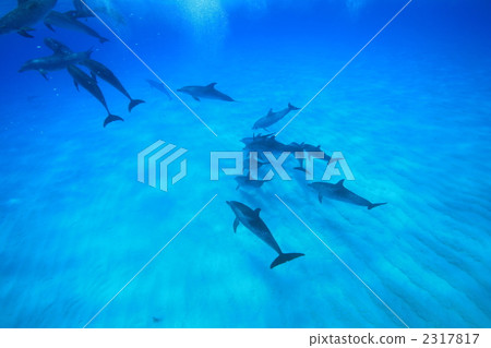 watersport, transparency, happy 2317817