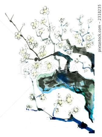 白梅 2318235