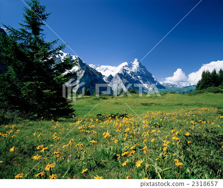 At Grindelwald 2318657