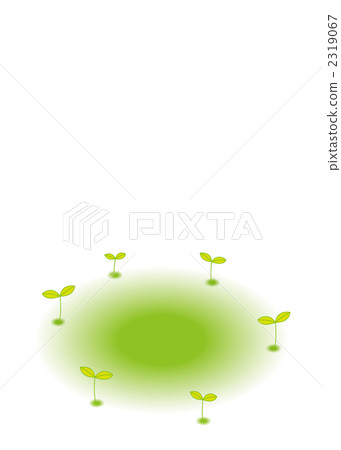 新芽 發芽 長芽 2319067