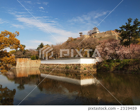 Spring Hinomaru Kame castle Spring Hinomaru Kame castle 2319489