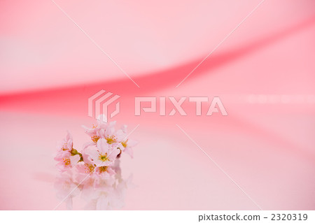 櫻桃背景材料 2320319