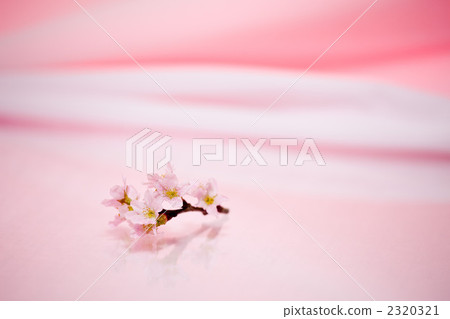 Cherry background material Cherry background material 2320321