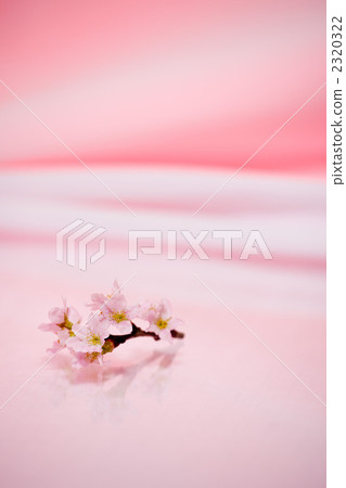 櫻桃背景材料 2320322